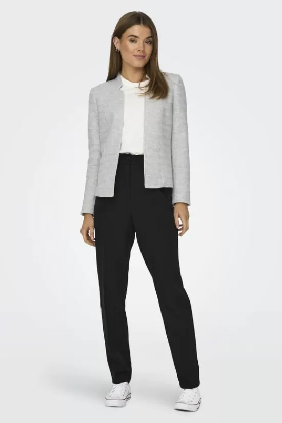 Fashion Blazer Ipsa-Linea Jassen