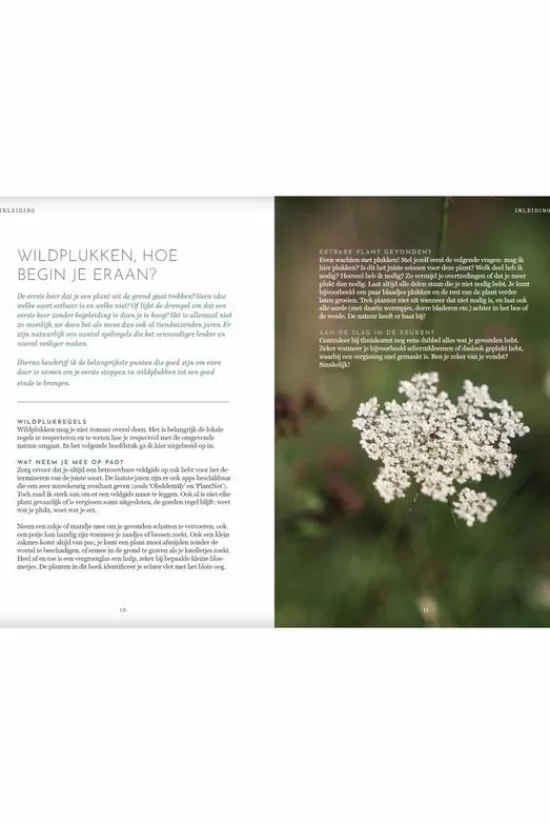 Clearance Boek Het Wildplukboek Lifestyle Boeken