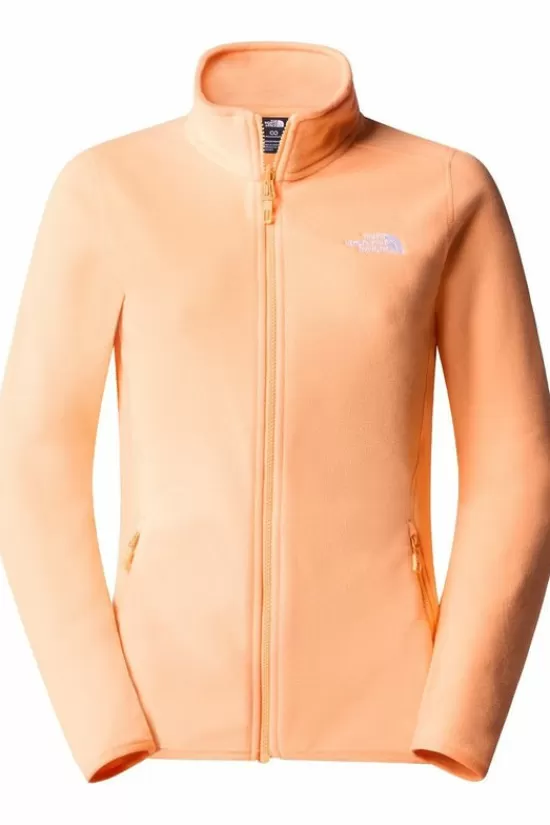 Best Fleece 100 Glacier Fz Fleeces