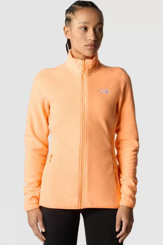 Best Fleece 100 Glacier Fz Fleeces