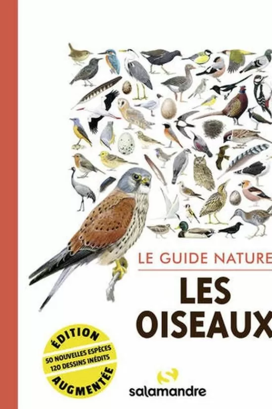 Store Le Guide Nature Les Oiseaux Lifestyle Boeken