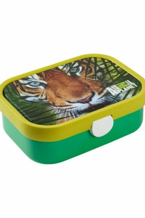 New Lunchbox Campus Opbergdozen