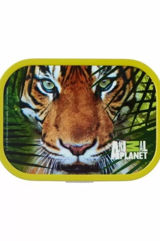 New Lunchbox Campus Opbergdozen