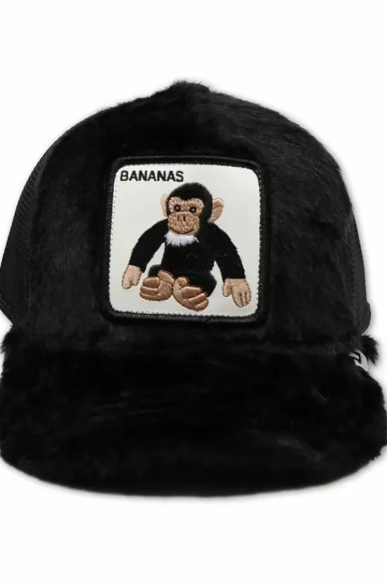 Cheap Pet Little Nanner Petten