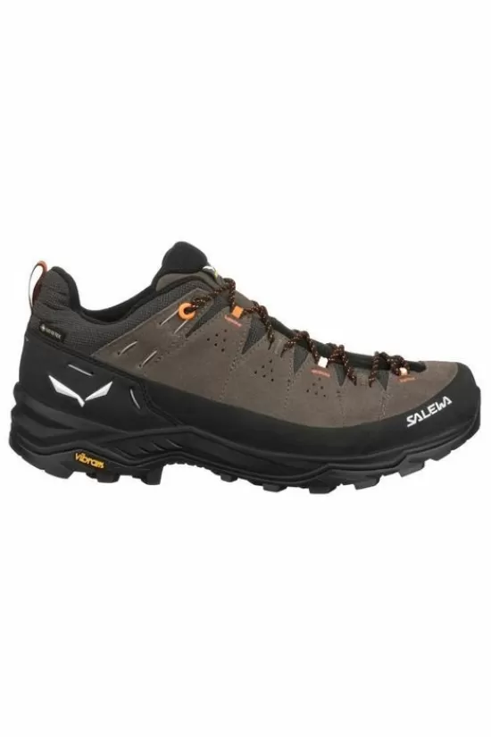 Cheap Schoen Alp Trainer 2 Gore-Tex Wandelschoenen (A-Laag)