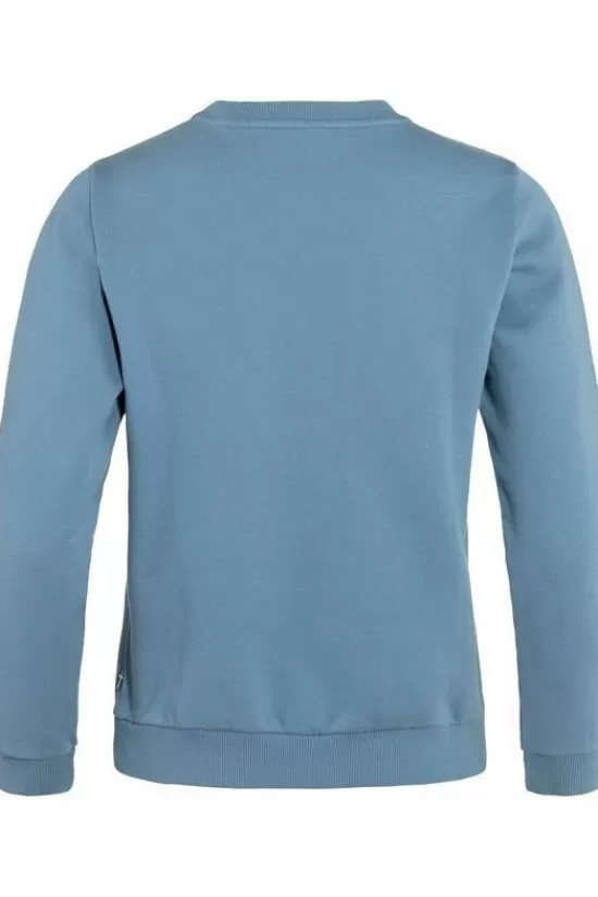 Best Sale Trui Fjallraven Logo Sweater W Truien