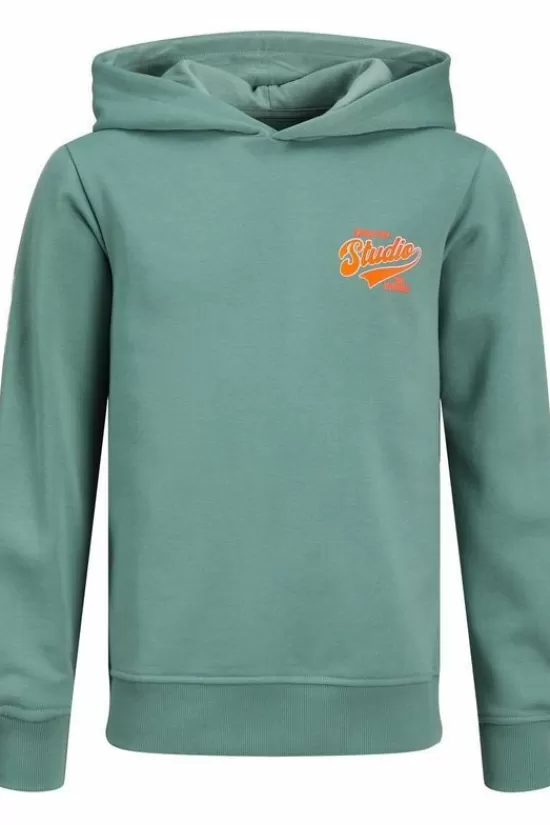 Discount Trui Jjtrend Smu Truien & Cardigans