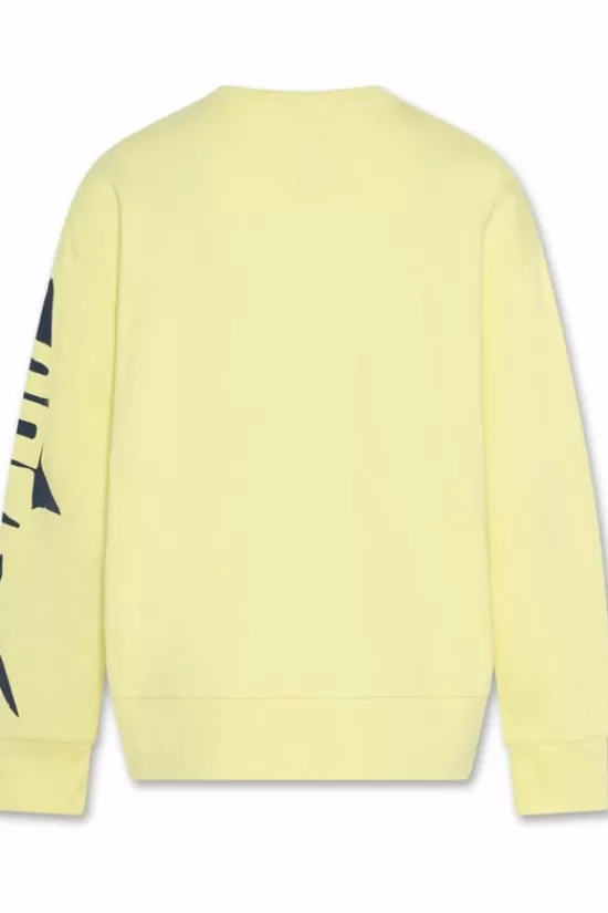 Shop Trui Oscar Requin Truien & Cardigans