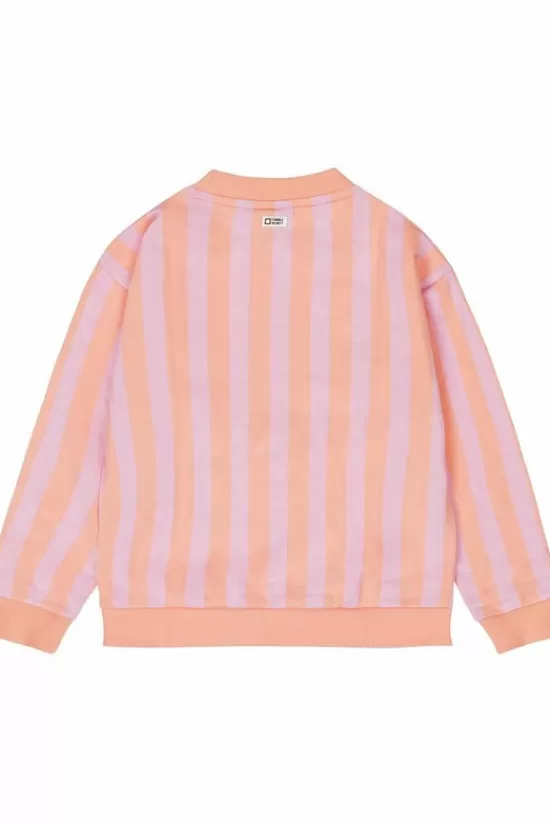 Shop Trui Venice Beach Fashion