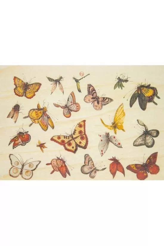 Clearance Wenskaart Postcard Bnf Ornements Papillons Overige