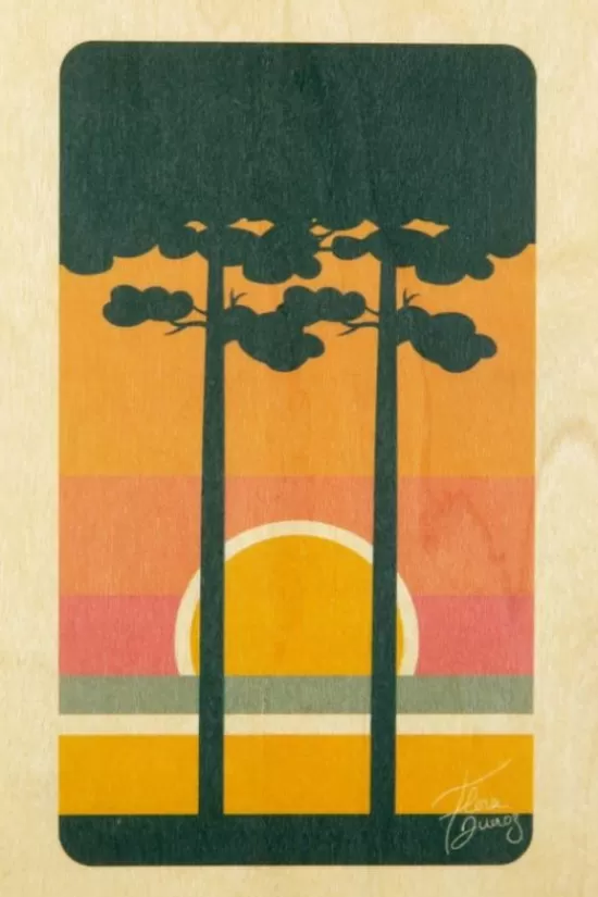 Cheap Wenskaart Postcard Forest Overige