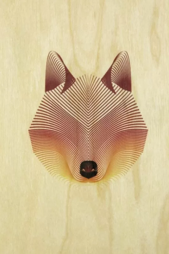 Fashion Wenskaart Postcard Fox Overige